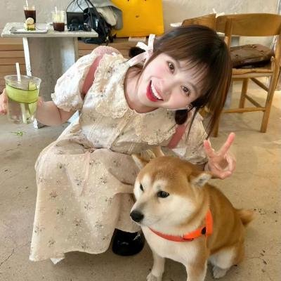 穿着鞋子的贝壳马塞尔